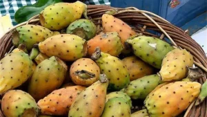 Frutas e vegetais