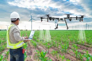 agricultura