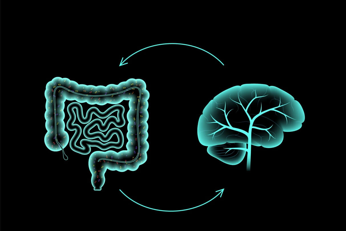Intestino e Saúde Mental: Conexões e Impactos Científicos